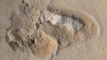 На Крите нашли следы предка человека, которым 6 млн лет - 285x160