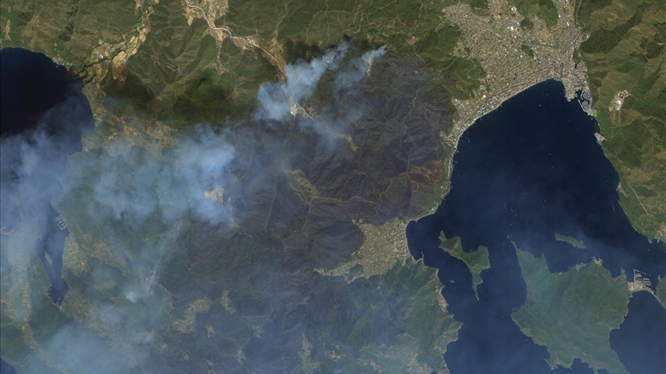 Пожежі в Туреччині — згорілі ліси видно з космосу