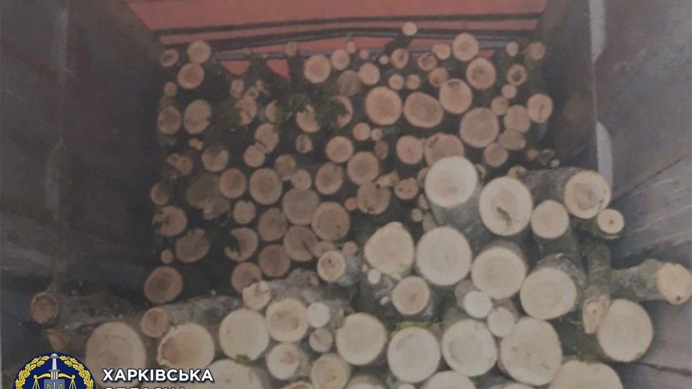 В Харьковской области браконьер незаконно спилил 57 деревьев