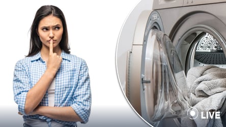 Навіщо потрібна опуклість на дверцятах пральної машини: у мережі розкрили таємницю - 285x160