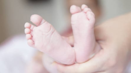 В Харькове будут судить экс-директора центра репродуктивной медицины, который продавал детей иностранцам - 285x160