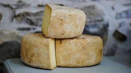 На прилавки харківських магазинів може потрапити сир із шкідливою добавкою - 285x160