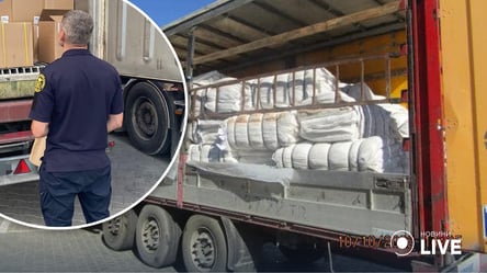 Под видом гуманитарной помощи: Одесские таможенники блокировали схему незаконного ввоза товаров - 285x160