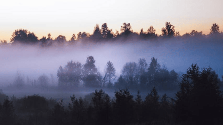 Украину накроет туман: в каких регионах будет опасно - 285x160