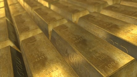 У эксминистра из окружения Януковича изъяли 48 килограмм золота: куда направили средства - 285x160