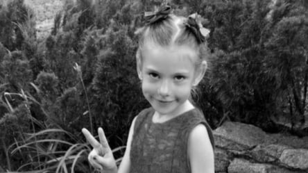 Вбивство 6-річної дівчинки на Харківщині: що розповідають односельці про 13-річного підозрюваного. Ексклюзив телеканалу LIVE - 285x160