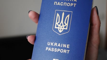 «Казус Невзорова»: кому і як зараз роздають громадянство України - 285x160