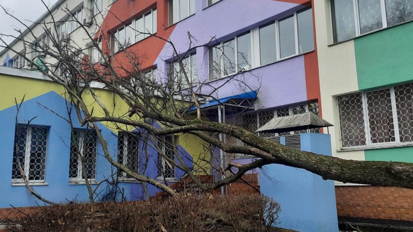 Ураган в Киеве - из-за сильного ветра дерево упало на здание детской поликлиники - фото