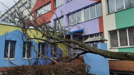 На Подоле из-за сильного урагана дерево упало на здание детской поликлиники. Фото - 285x160