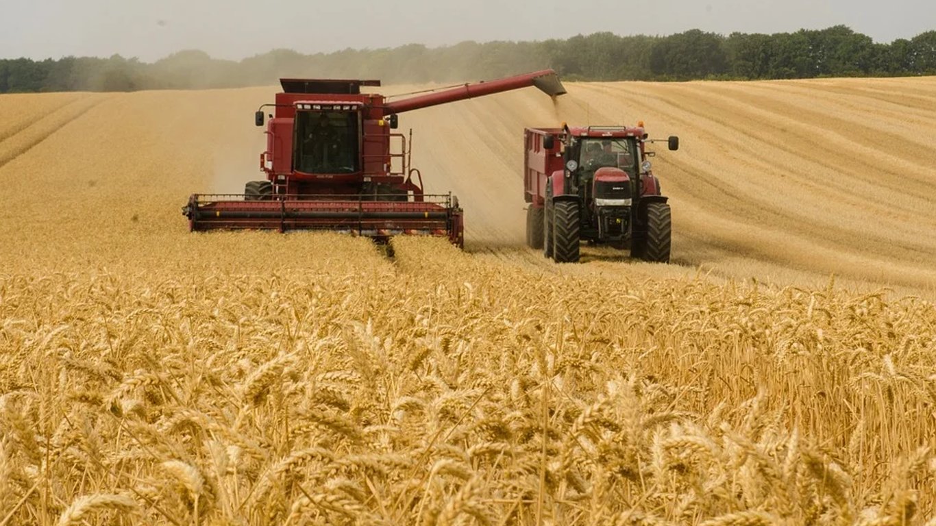 Врожай зернових 2021 - скільки тонн пшениці очікується зібрати