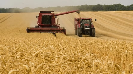 Рекордний врожай за останні 30 років: яких зборів зернових очікують аграрії - 285x160