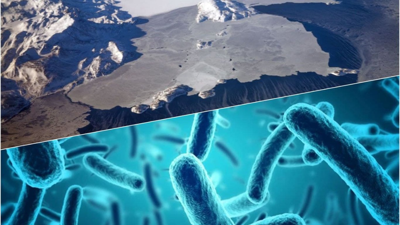Екологічна панацея - в Арктиці знайдено унікальні мікроорганізми