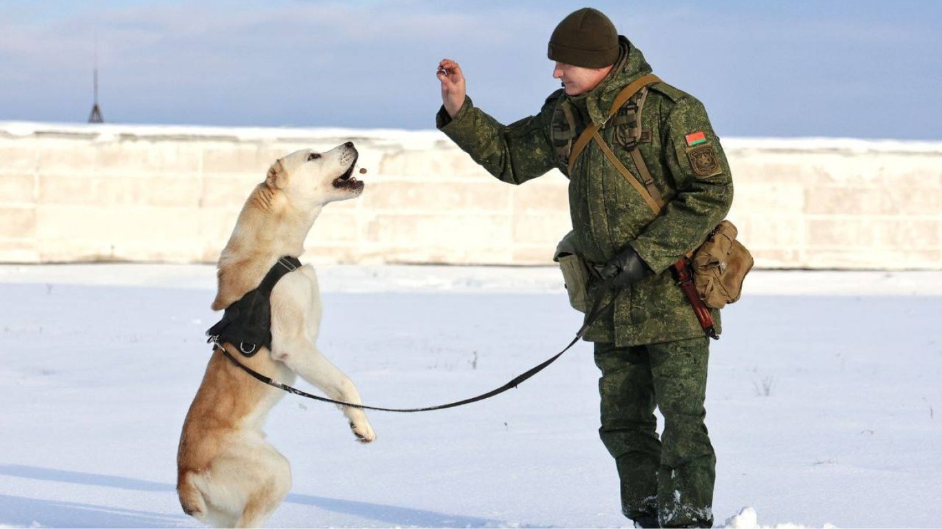 Лукашенко наказав провести раптову перевірку боєготовності армії