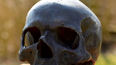 Пролежали не одне десятиліття: у Білгороді-Дністровському комунальники виявили людські останки - 285x160