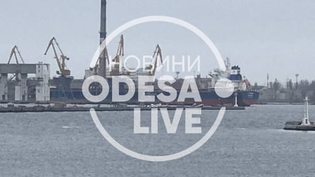 В Черное море зашли катера Island: их доставили в морской порт Одессы - 285x160