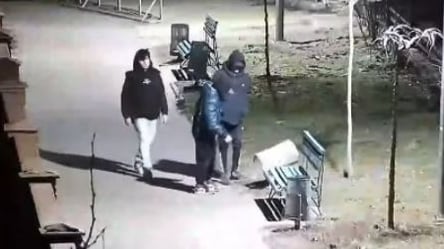 В Черноморске задержали троих подростков, которые крушили урны в парке. Видео - 285x160