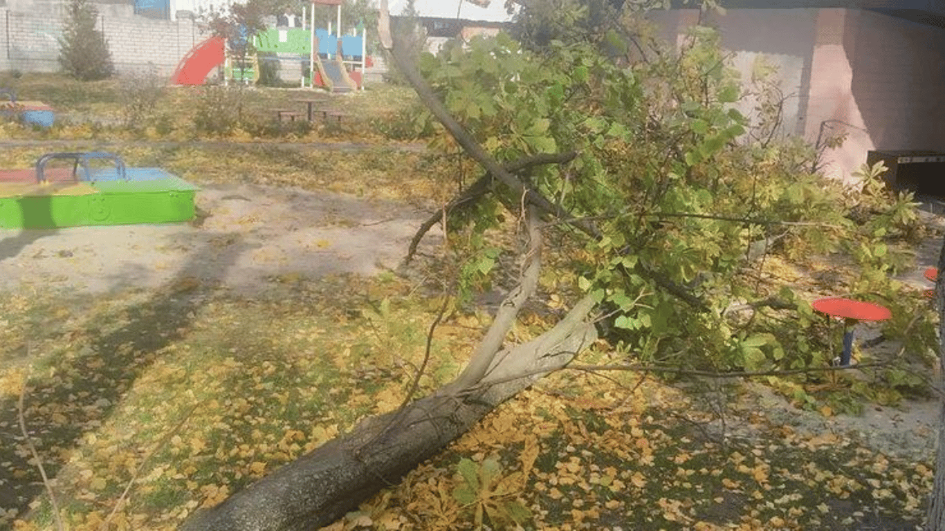 В детском саду на Полтавщине на двух детей упало дерево
