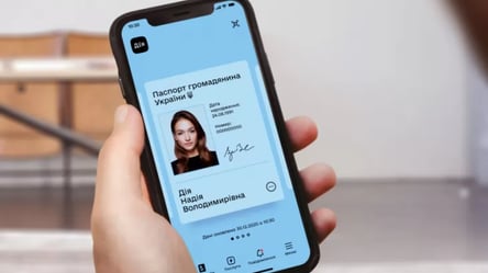 "Дія" отримала понад 100 тисяч заявок про пошкоджене житло та майно - 285x160