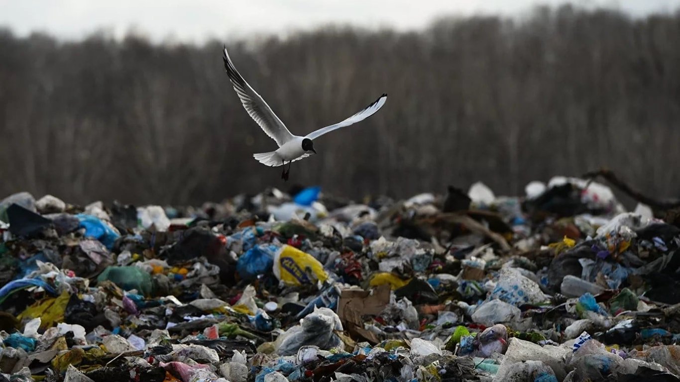 В Одесской области компания по вывозу мусора нанесла экологии ущерб на 13,6 миллиона гривен