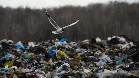 Компания по вывозу мусора в Одесской области нанесла экологии ущерб на 13,6 миллиона гривен - 285x160