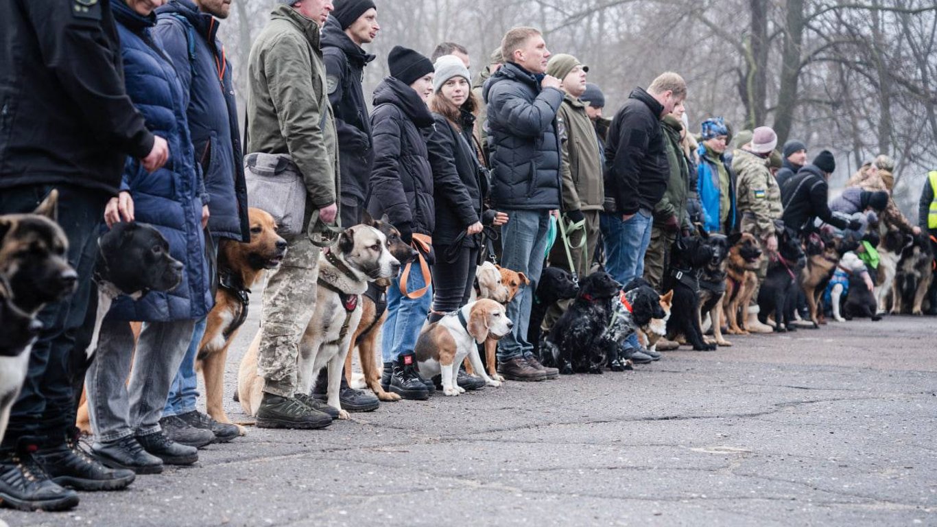 В Одесі нагородили собак-патрулювальників вулиць
