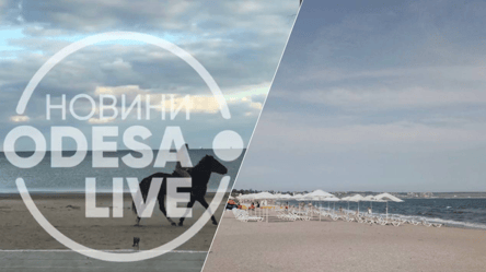Импровизированный ипподром: в Одессе выгуливали лошадей на побережье популярного пляжа. Видео - 285x160