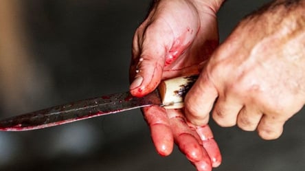 Новый год начался с убийств: в Одесской области двое мужчин зарезали своих пасынков - 285x160