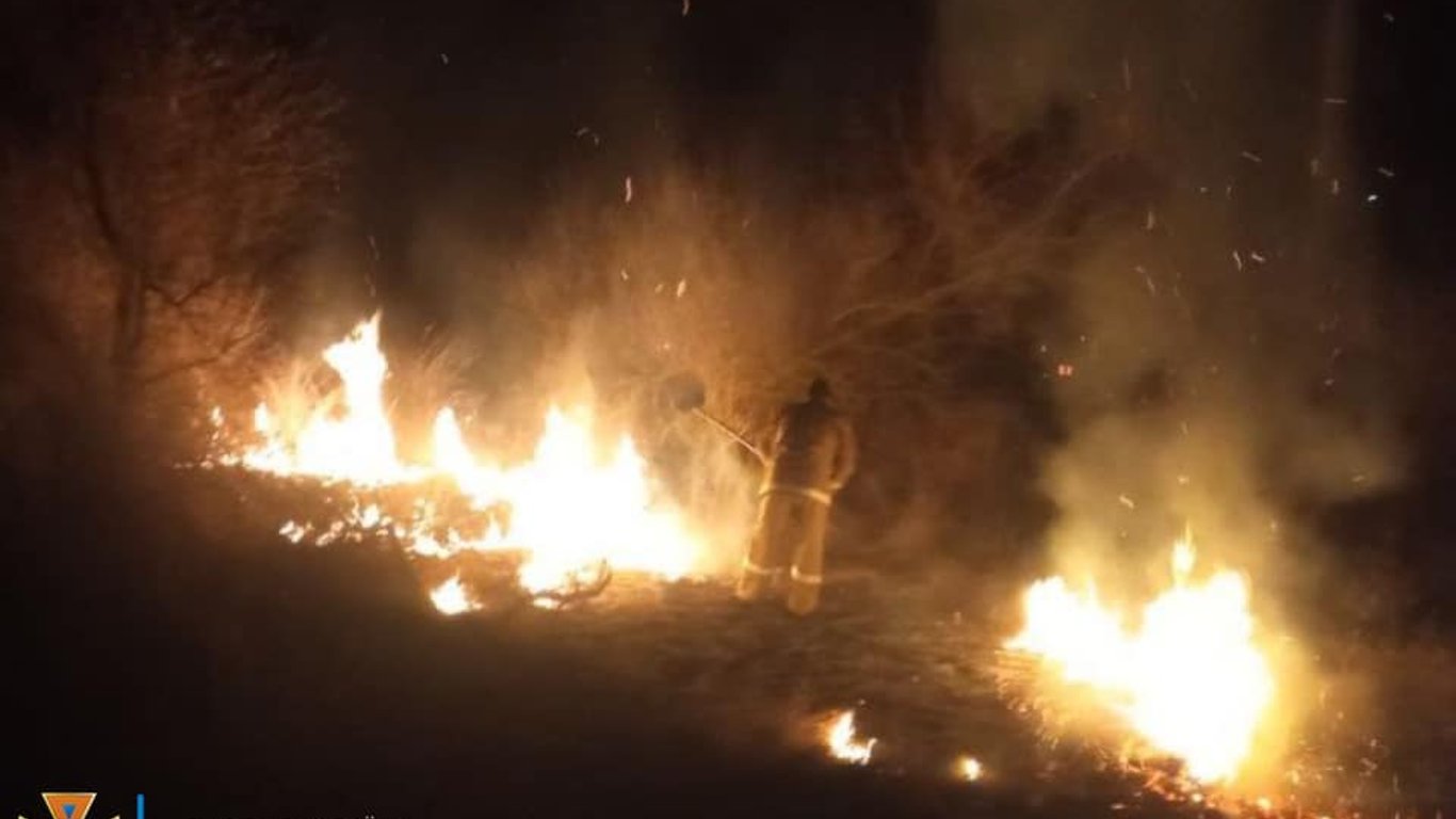 В Одеській області гасили пожежі поблизу населених пунктів