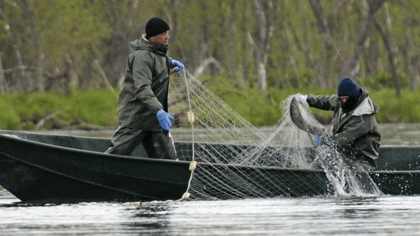 В Одеській області викрили браконьєрів з виловом на 18 тисяч гривень
