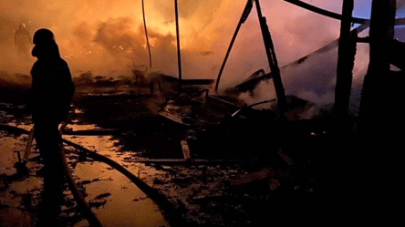 В Одесской области сгорела база отдыха "Южная волна". Фото - 285x160