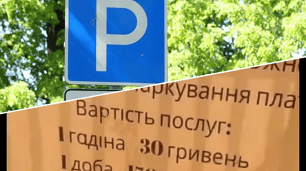 "Одна гадина – 30 гривен": в Одесской области туристы посмеялись с баннера. Видео - 285x160