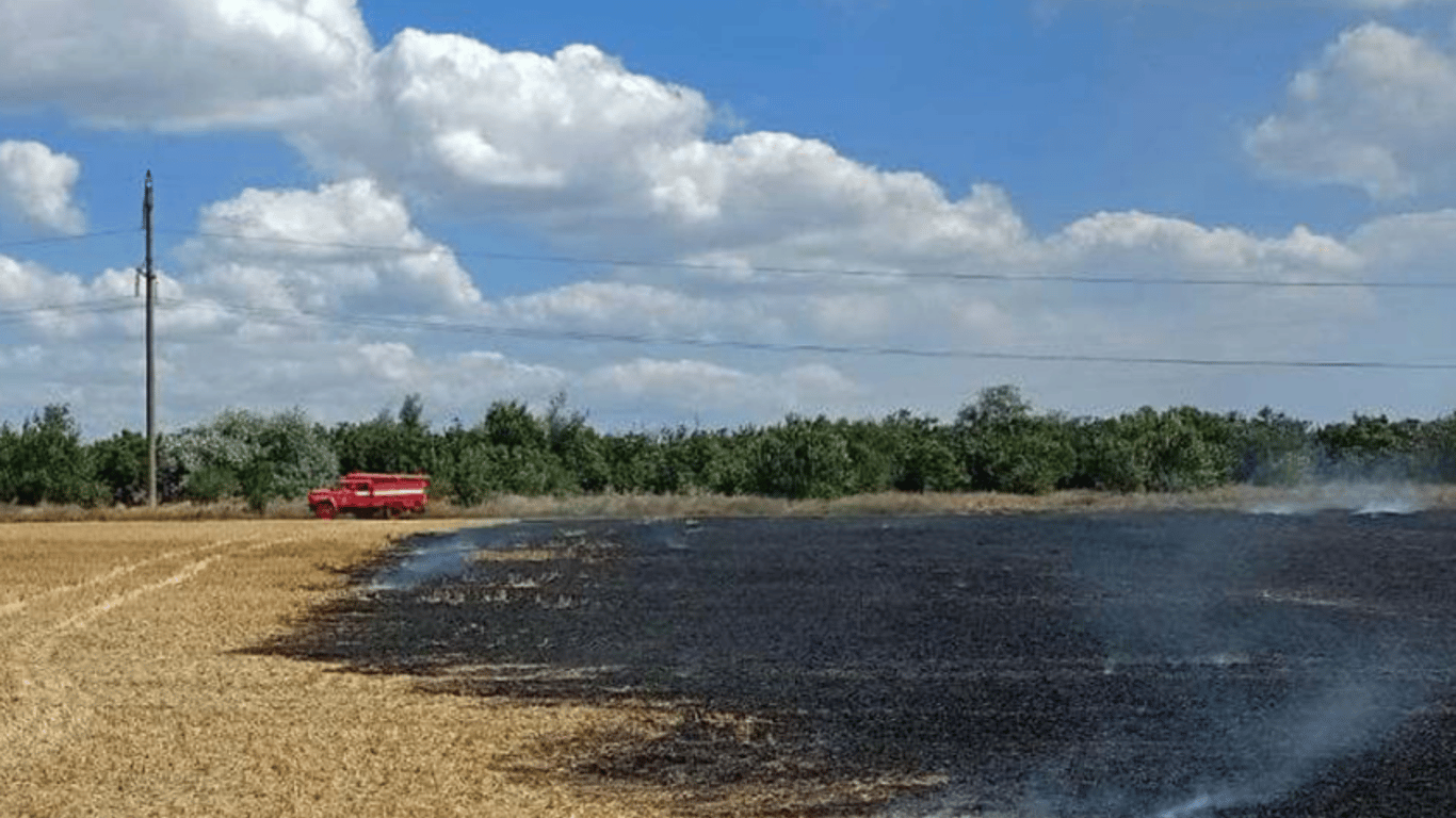 В Одеській області за добу майже 20 разів виїжджали гасити загоряння на полях