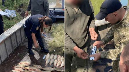В Одесской области рыбаки из лимана незаконно наловили около 100 килограммов рыбы - 285x160