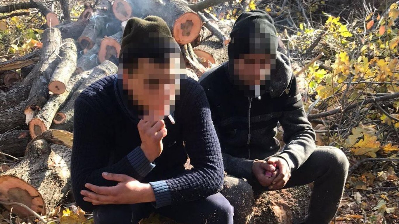 В Одесской области задержали группу черных лесорубов