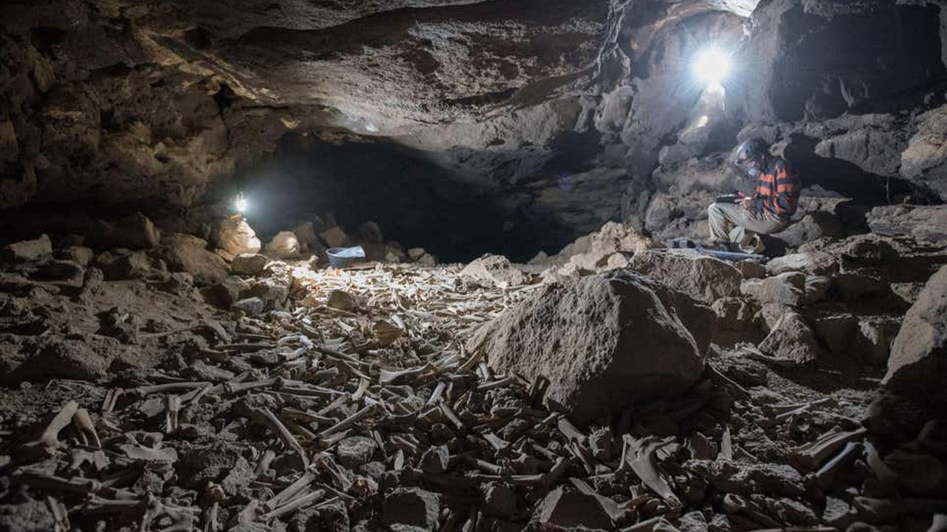 Археологи нашли пещеру с десятками тысяч костей