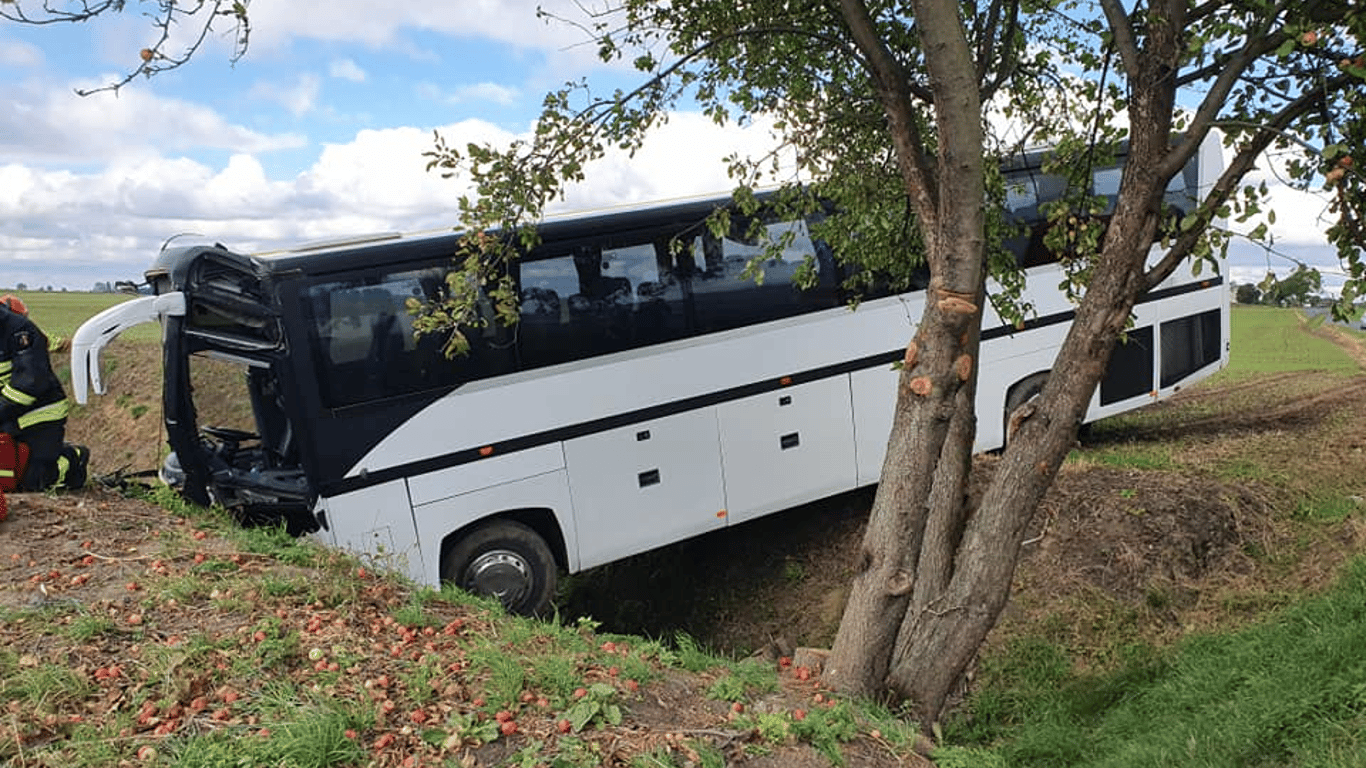 В Польше автобус с детьми вылетел в кювет