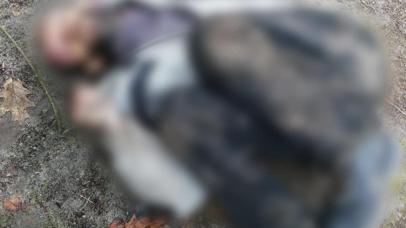 В селі Київської області виявили тіла закатованих чоловіків та агітаційні листівки. Фото