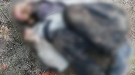 В селі Київської області виявили тіла закатованих чоловіків та агітаційні листівки. Фото - 285x160
