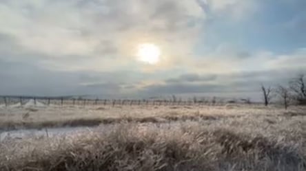 Равнина хрустальных трав: в сети появилось завораживающее видео Тарутинской степи - 285x160