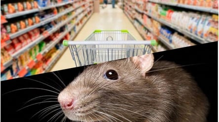 В Одессе в известном супермаркете на полке с выпечкой бегают мыши. Фото - 285x160