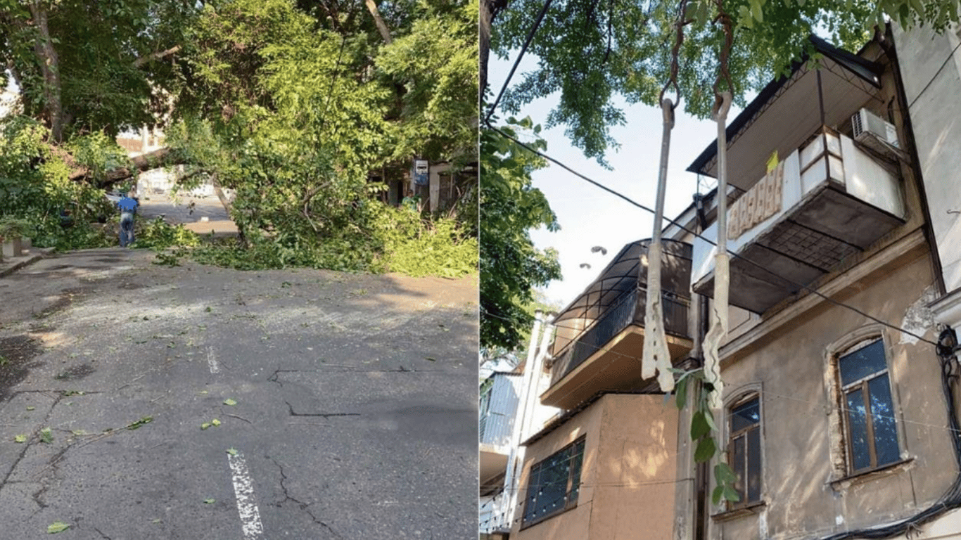 У центрі Одеси впале величезне дерево перекрило дорогу
