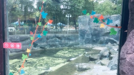 І так зійде: у Київському зоопарку луснутий вольєр з ведмедями заклеїли папірцем. Фото - 285x160
