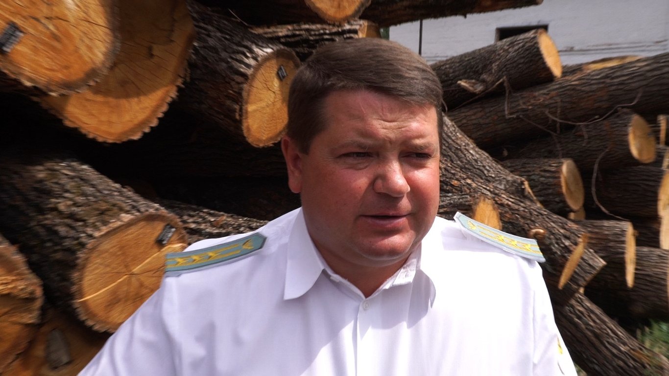 На Харьковщине бывший директор лесхоза получил тюремный срок