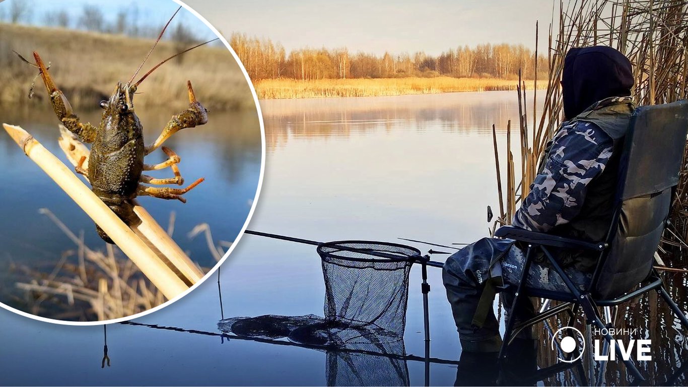 На Днестровском лимане Одесчины разрешили лов раков: основные правила
