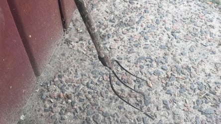 Смертельне застілля: під Миколаєвом під час сварки чоловік заколов брата вилами - 285x160