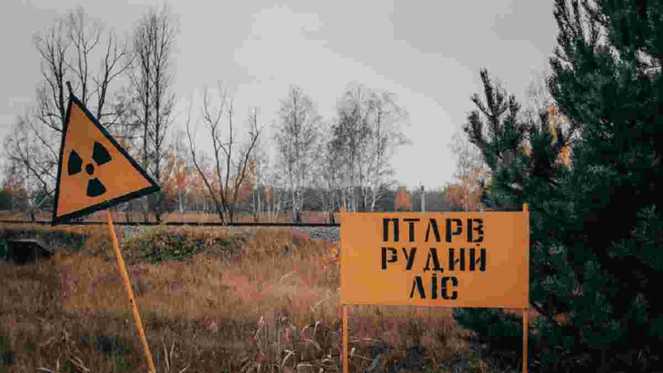 ДБР затримало експосадовця, який дозволяв вирубувати дерева біля Чорнобиля