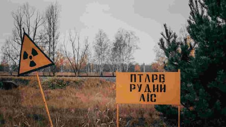 ДБР затримало експосадовця, який дозволяв вирубувати дерева біля Чорнобиля - 285x160