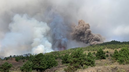 Облака пепла в воздухе и зона ЧС: что происходит на Канарах, где бушует вулкан - 285x160