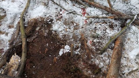 На Киевщине у границы с Беларусью взорвалась мина: есть пострадавший - 285x160