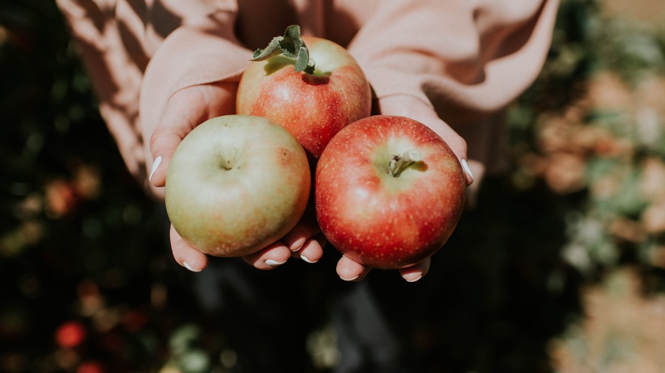 В Україні подешевшали яблука – ціни впали до рекордних показників